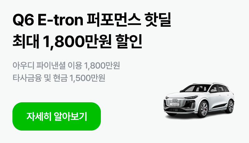 Q6 E-tron 퍼포먼스 핫딜
