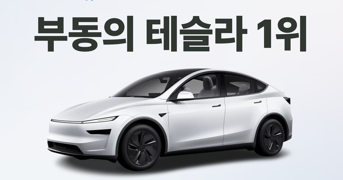 2026년 6월 수입차 판매량 총정리: 테슬라 1위·BYD 4위, 전기차 절반 돌파