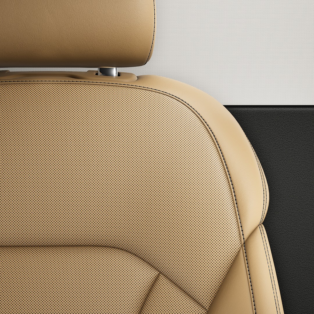 Valcona leather/Cricket leather combination, perforated, 시트: 사이가 베이지, 대시보드: 블랙,
카페트: 블랙, 천정: 실버