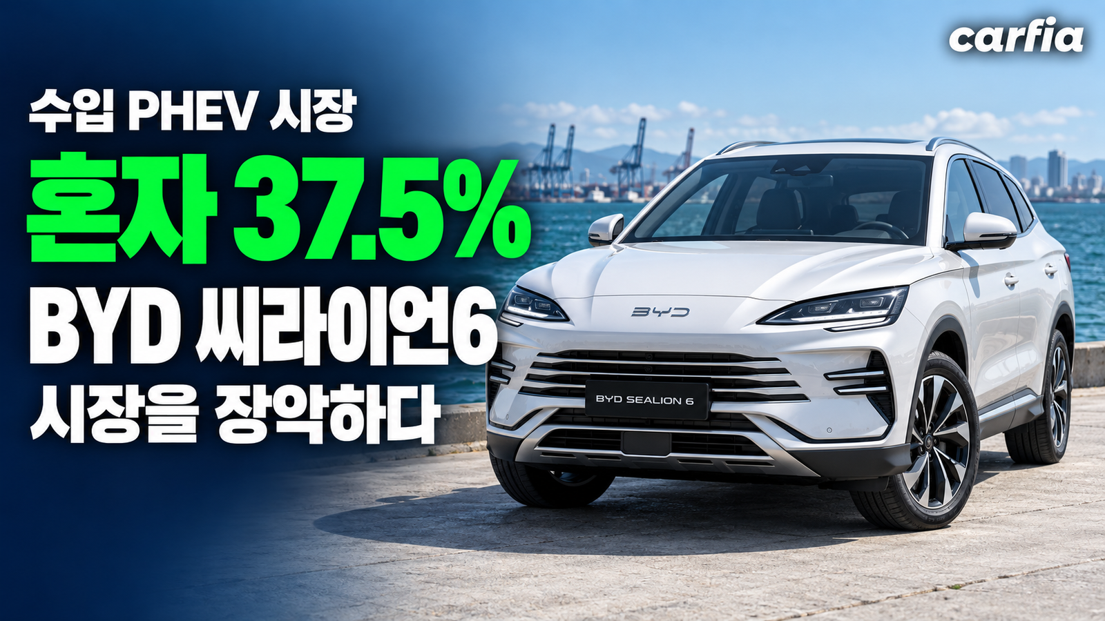 혼자 37.5%, BYD 씨라이언6가 장악한 수입 PHEV 시장